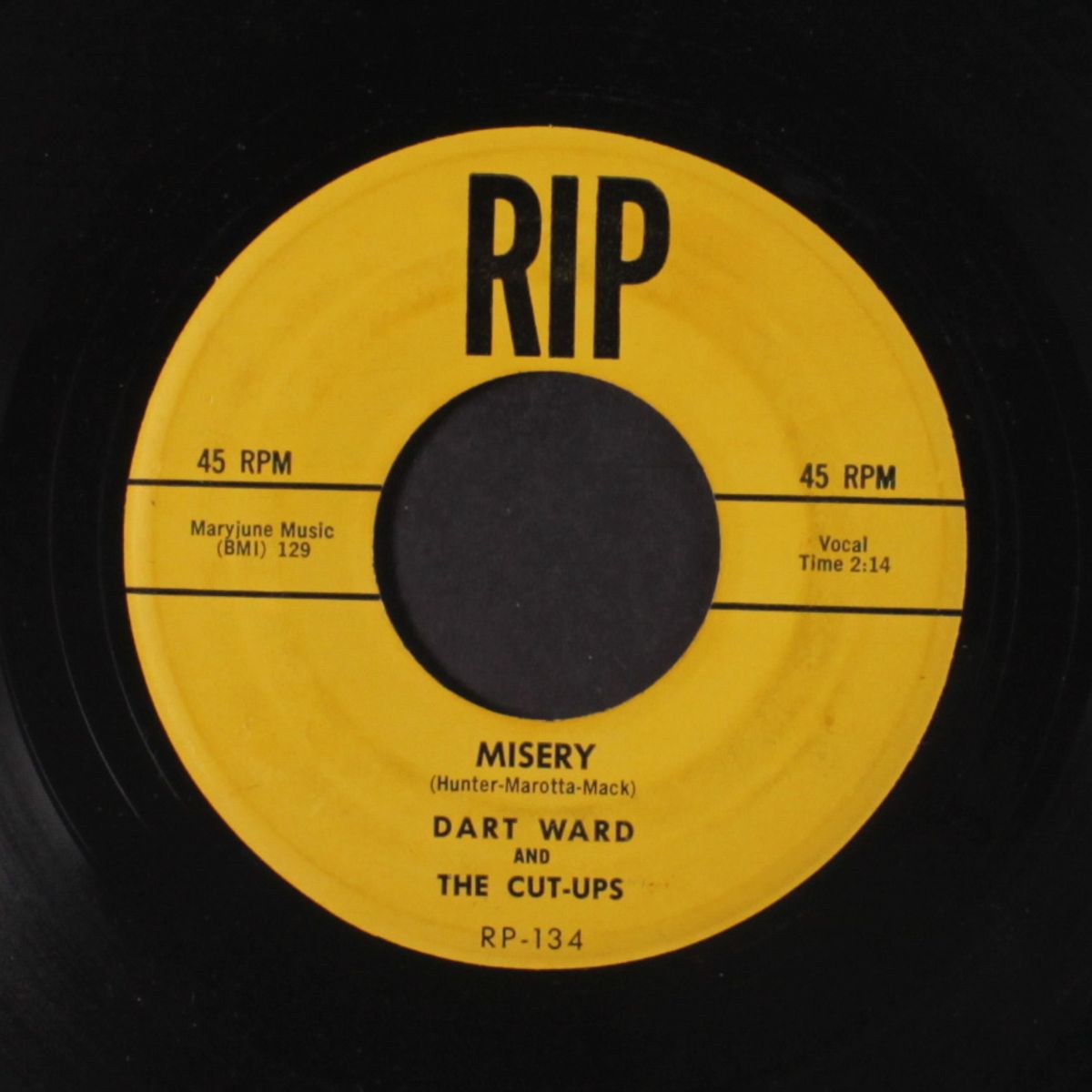 q-t-cute / misery by DART WARD