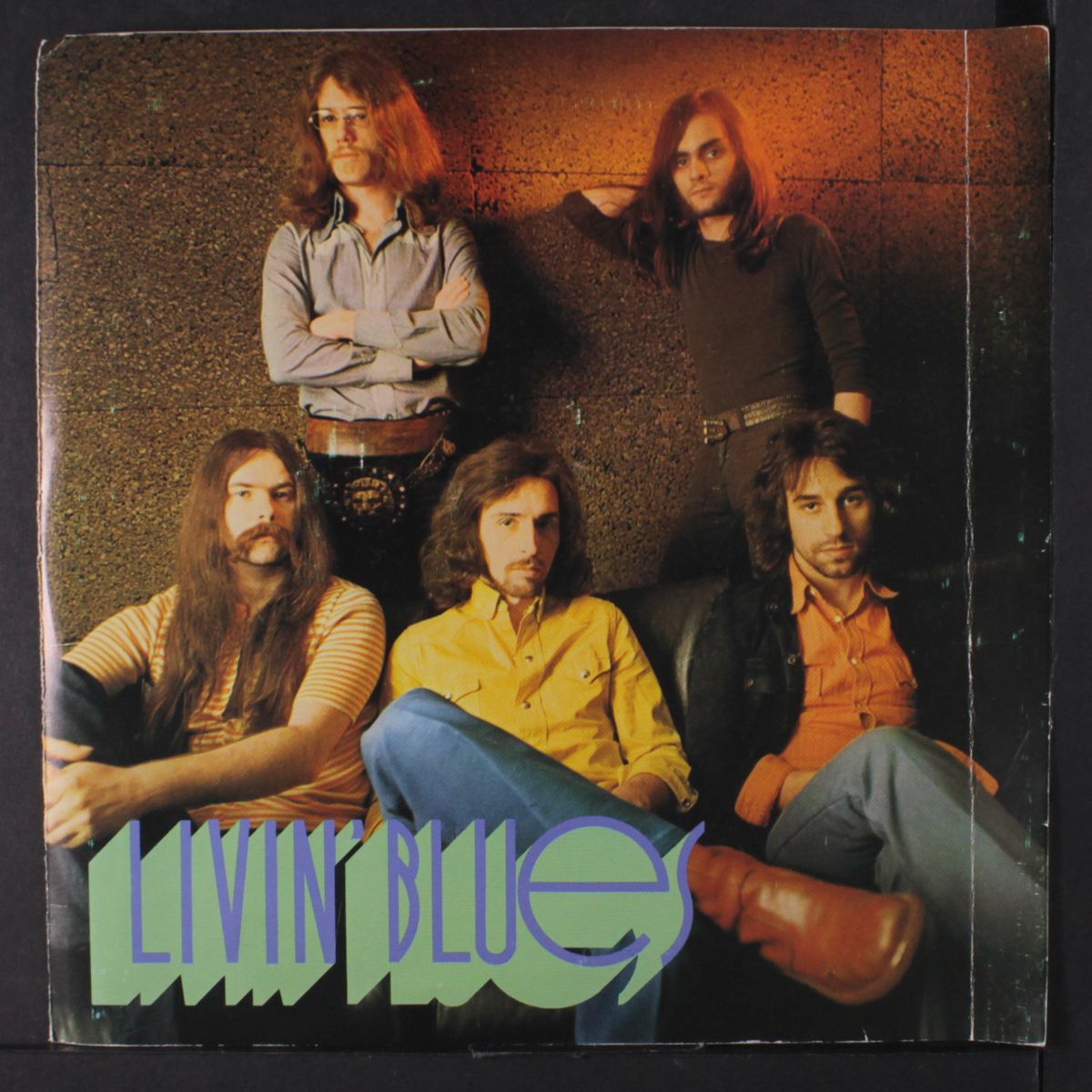 choice / selection by LIVIN' BLUES