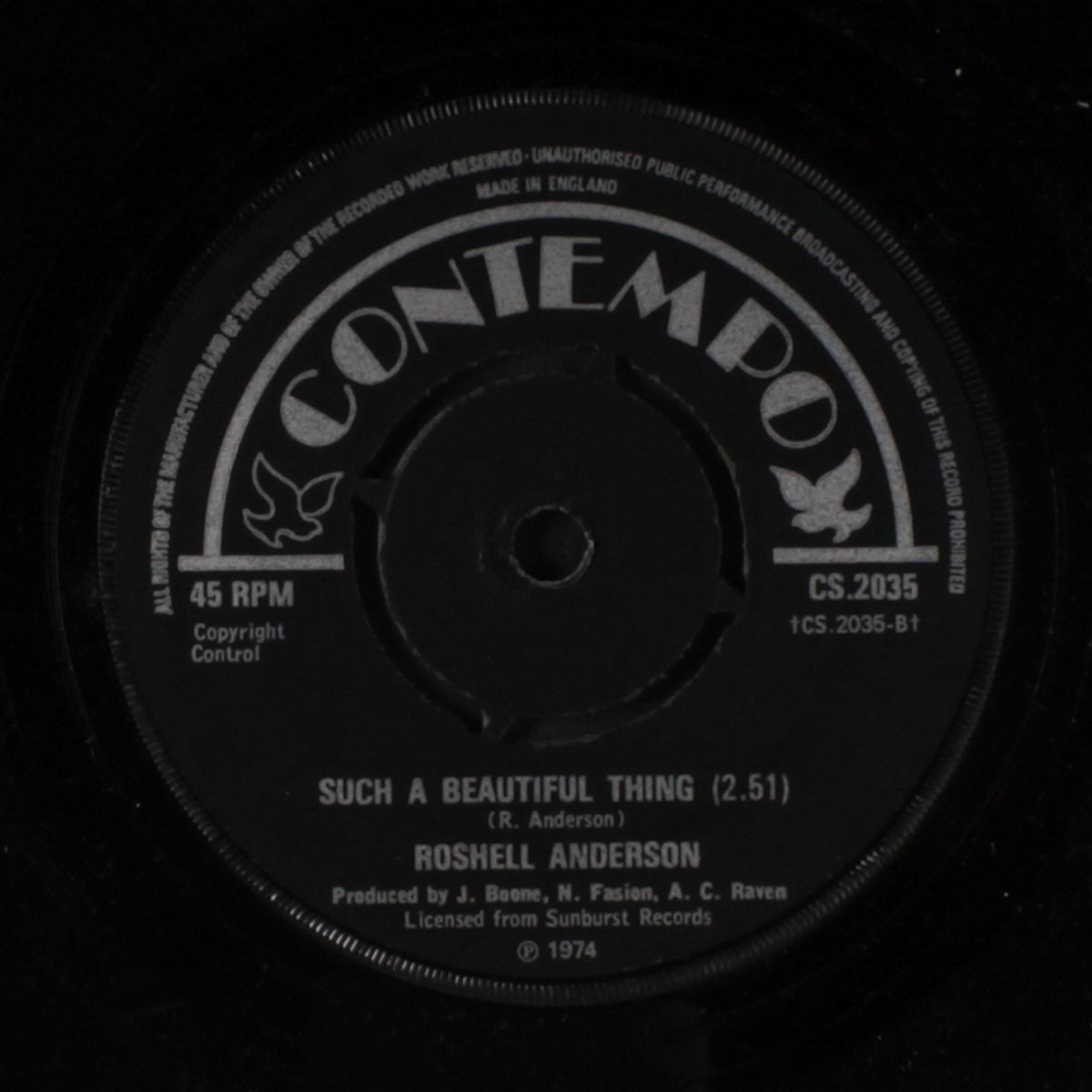 the grapevine will lie sometimes / such a beautiful thing by ROSHELL ANDERSON