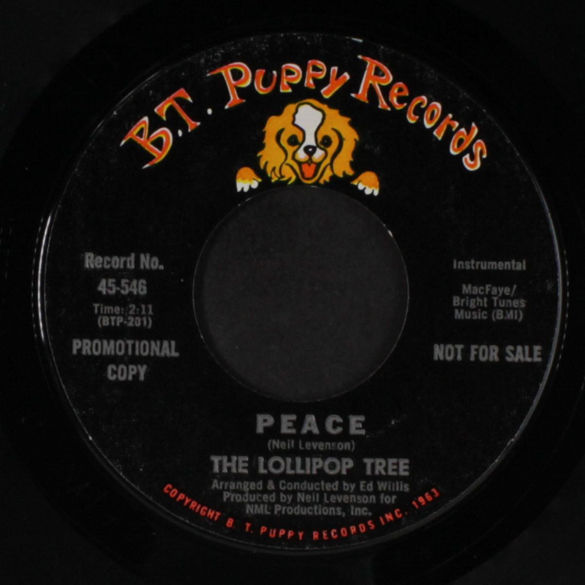 hey jude / peace by LOLLIPOP TREE