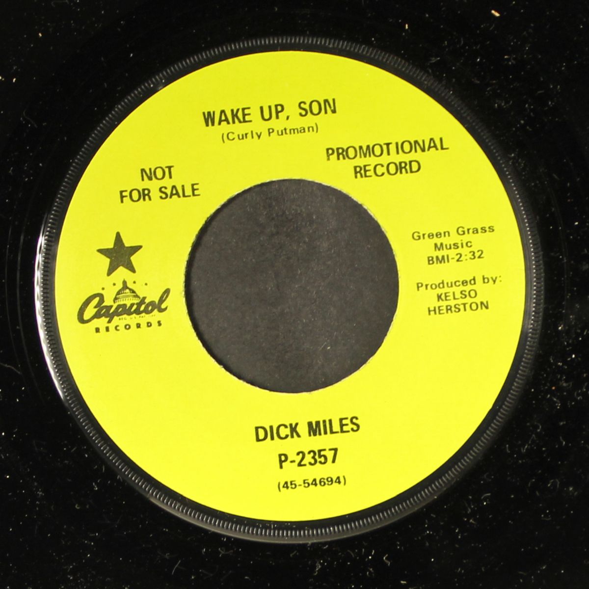 this was my world / wake up son by DICK MILES