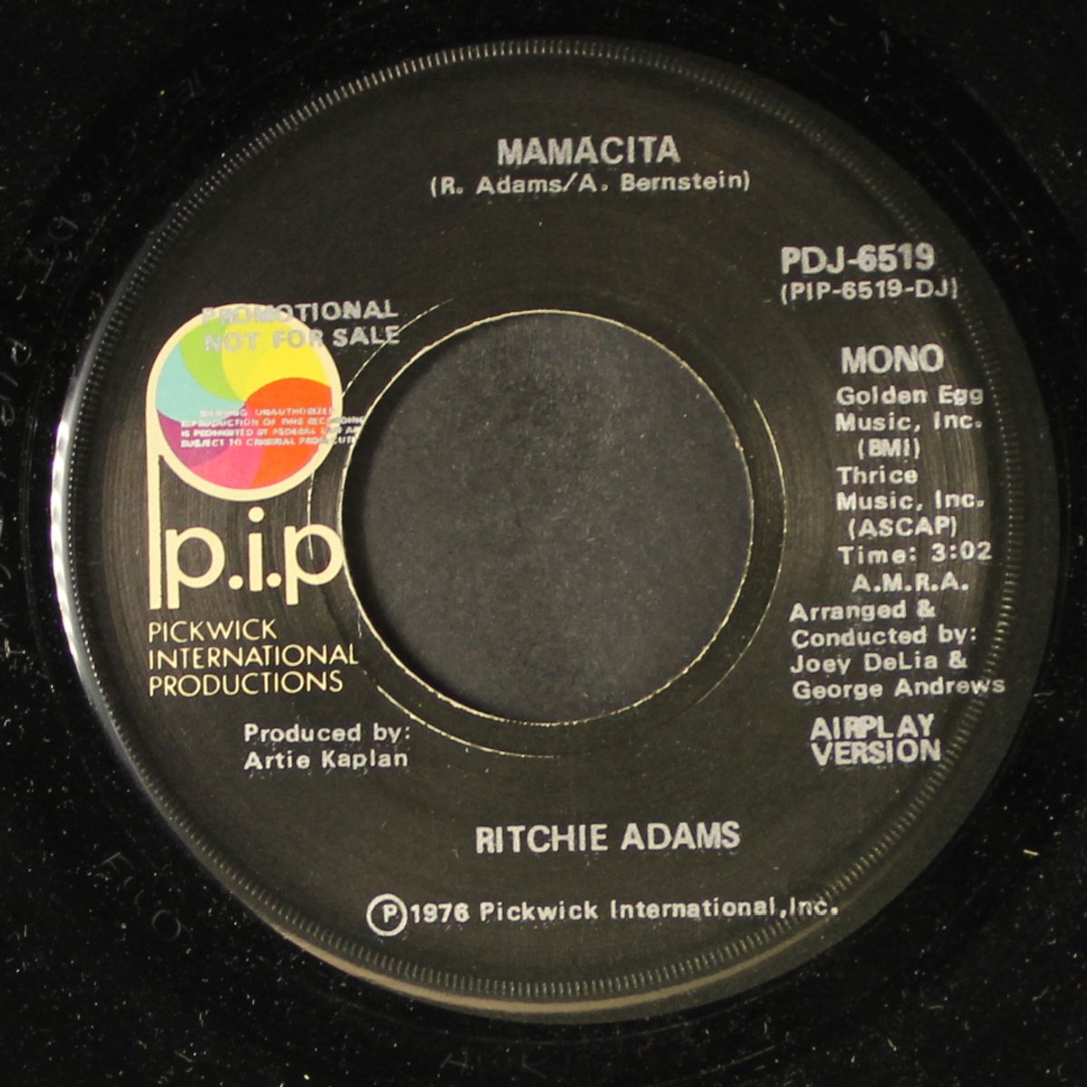 mamacita / short (mono) by RITCHIE ADAMS