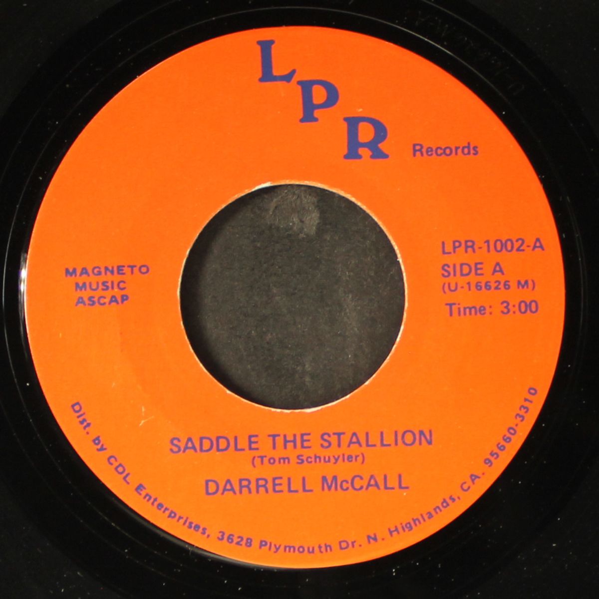 saddle the stallion by DARRELL MCCALL