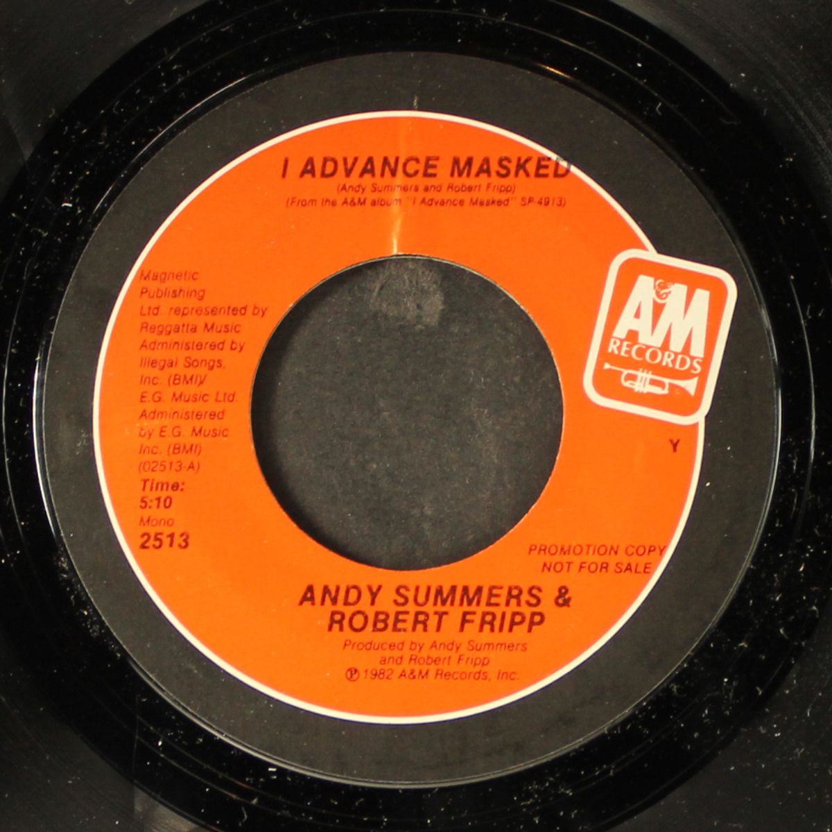 i advance masked / mono by ANDY SUMMERS & ROBERT FRIPP