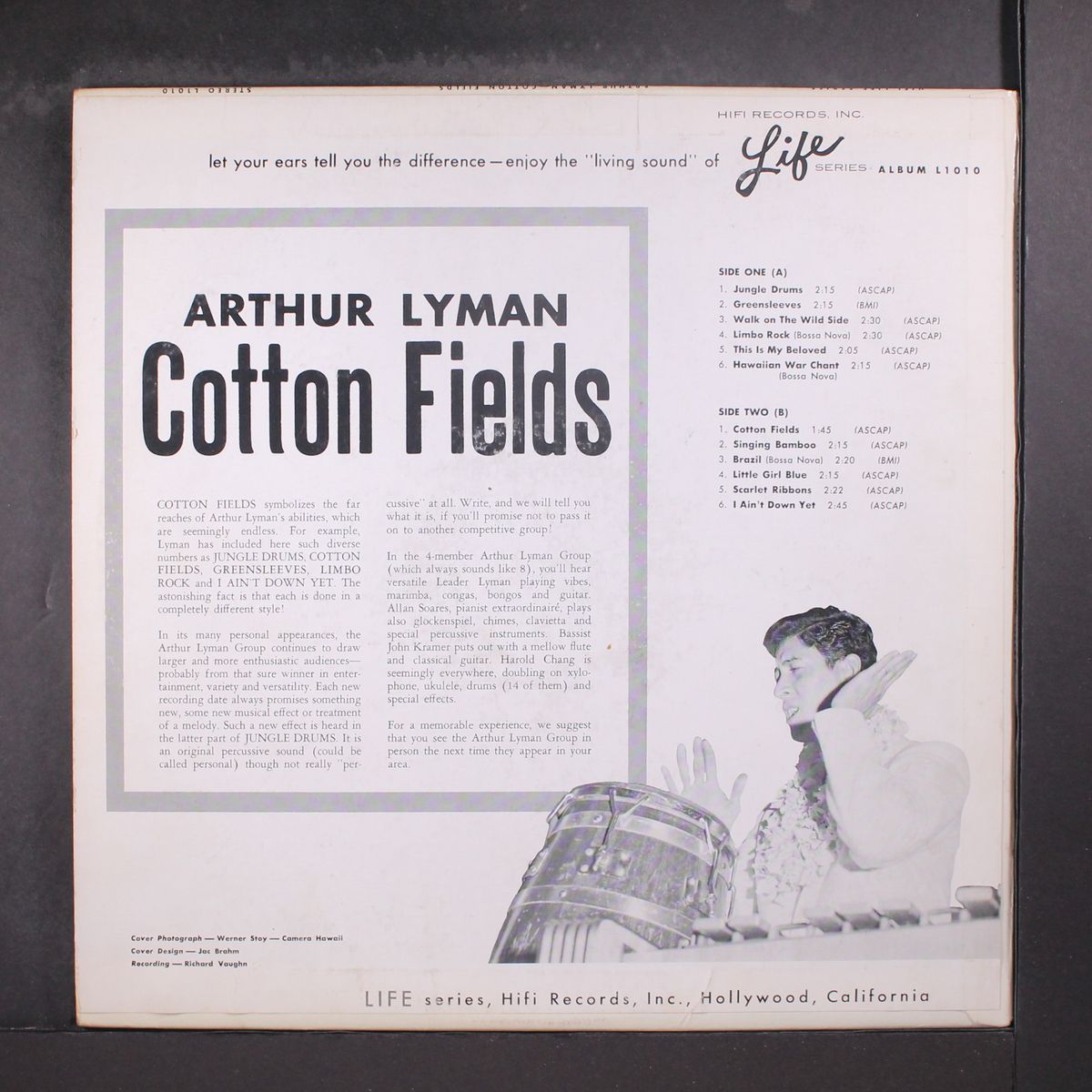 cotton fields by ARTHUR LYMAN
