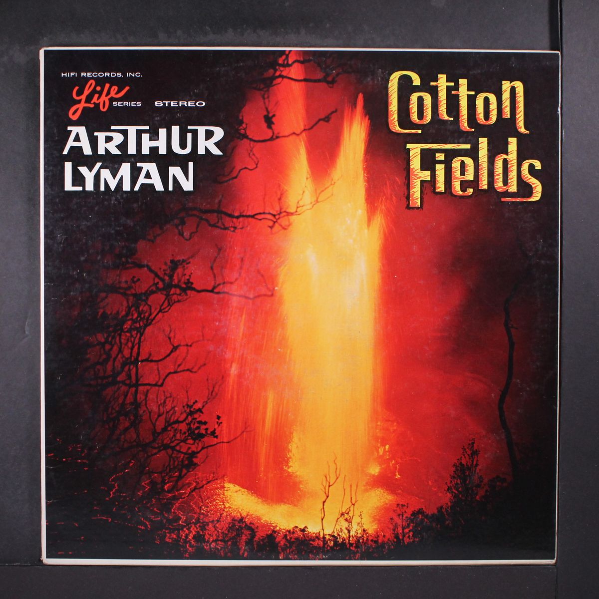 cotton fields by ARTHUR LYMAN