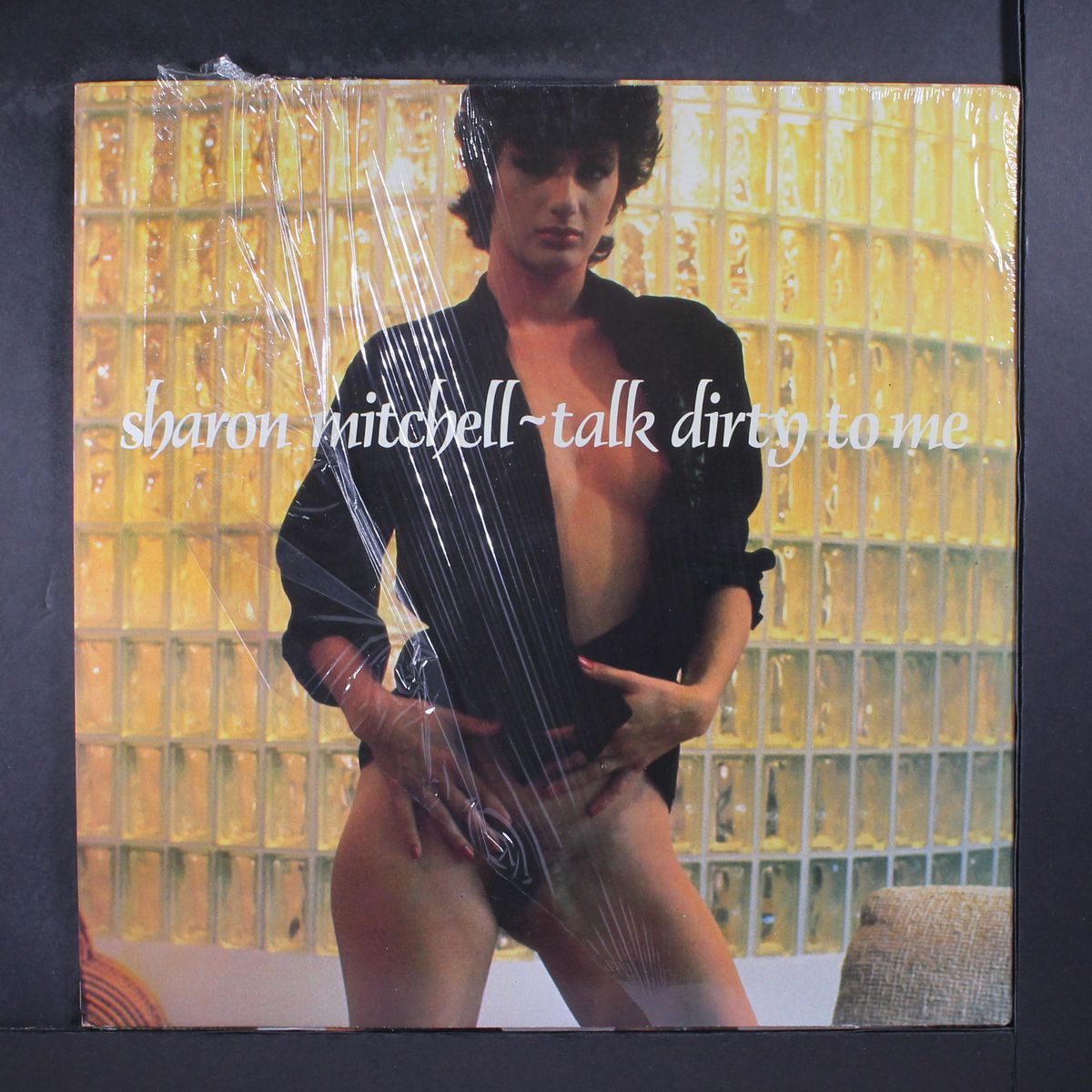 talk dirty to me / same by SHARON MITCHELL
