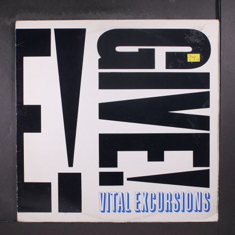 VITAL EXCURSIONS