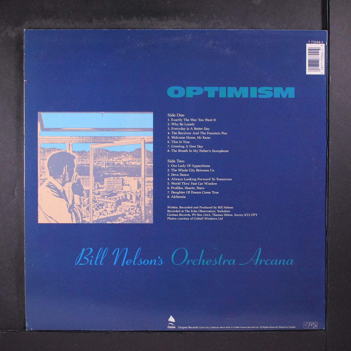 optimism by BILL NELSON'S ORCHESTRA ARCANA