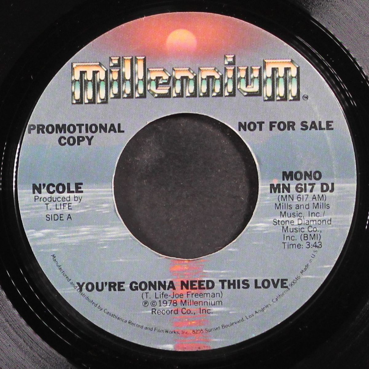 you're gonna need this love by N'COLE