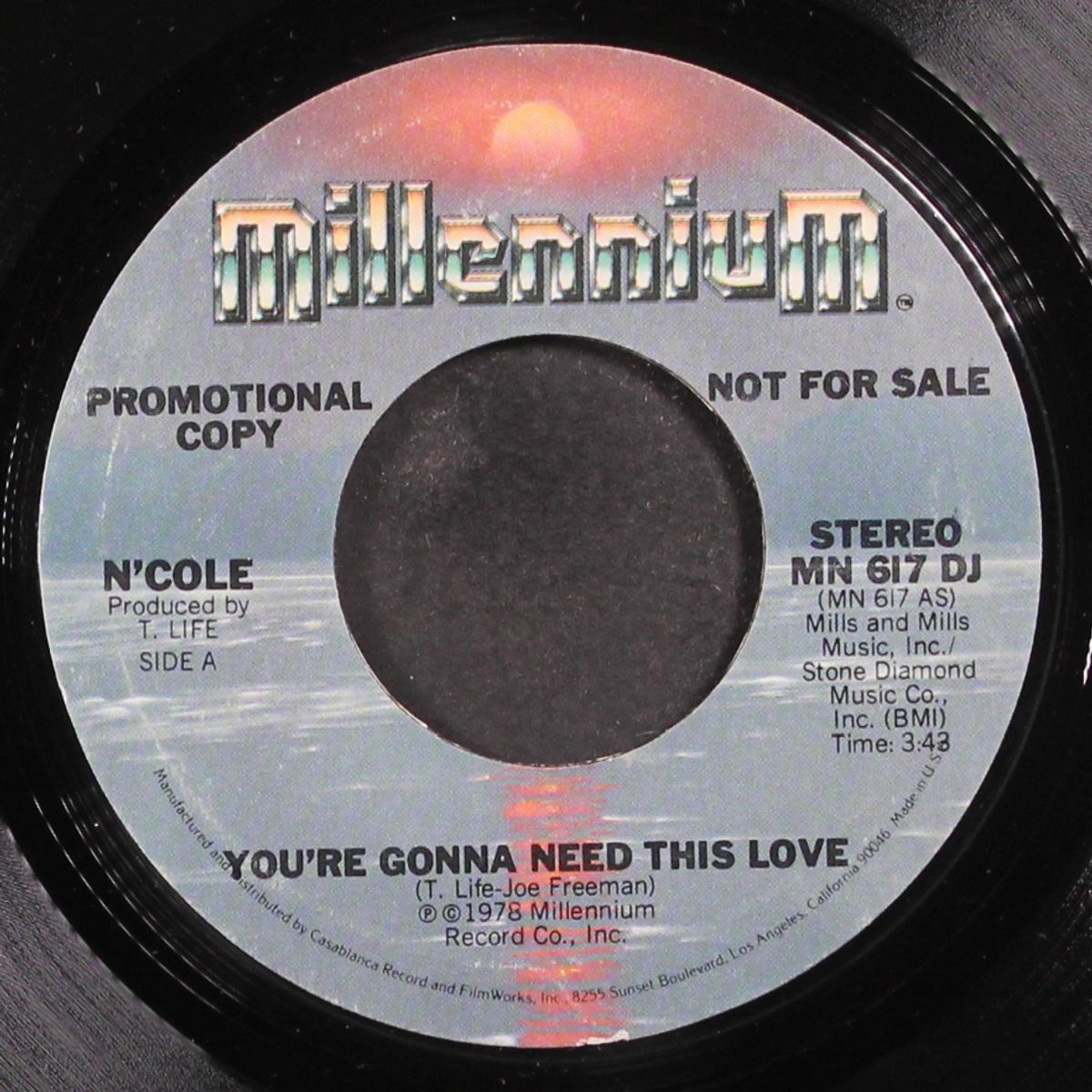 you're gonna need this love by N'COLE