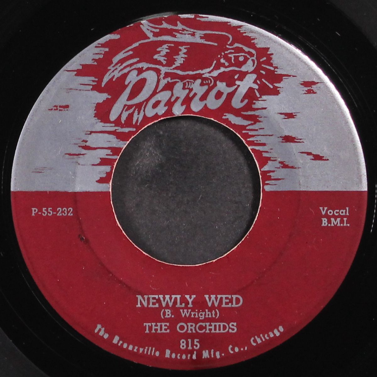 newly wed / you're everything to me by ORCHIDS