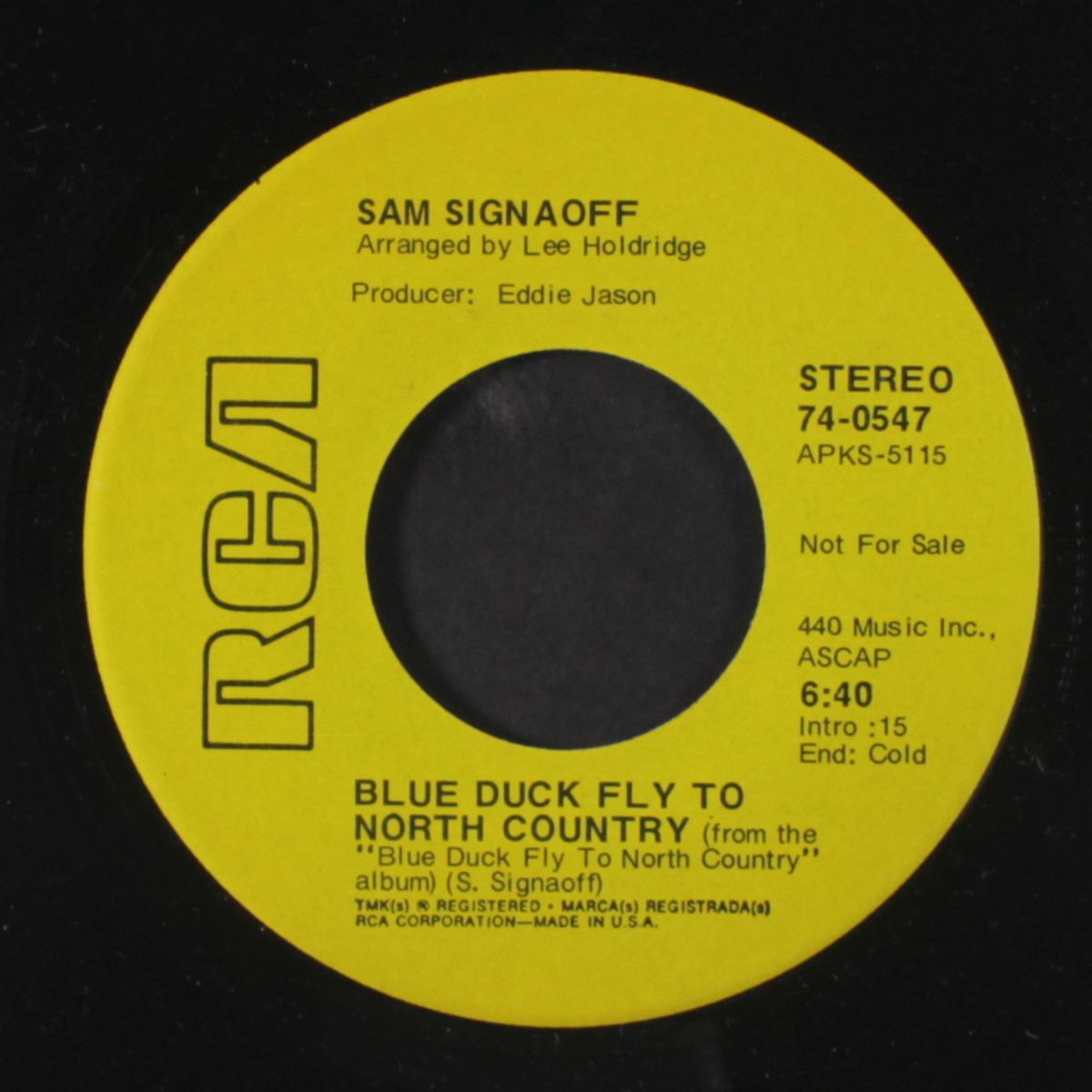new york skyline / blue duck fly to north country by SAM SIGNAOFF
