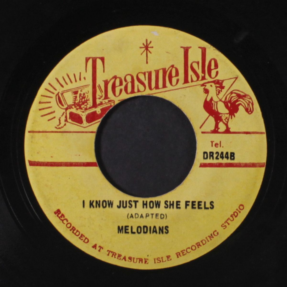 i caught you / i know just how she feels by MELODIANS