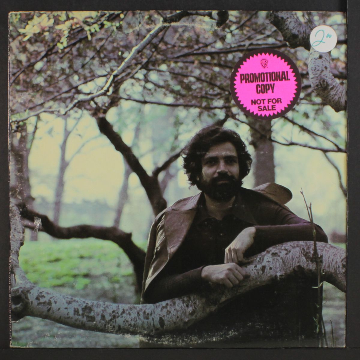 destiny by FELIX CAVALIERE