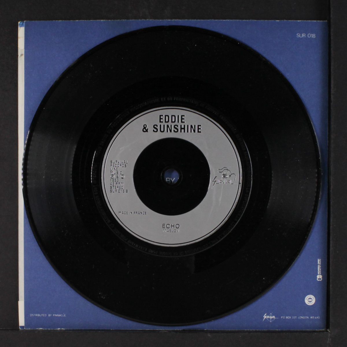 there's someone following me / echo by EDDIE & SUNSHINE