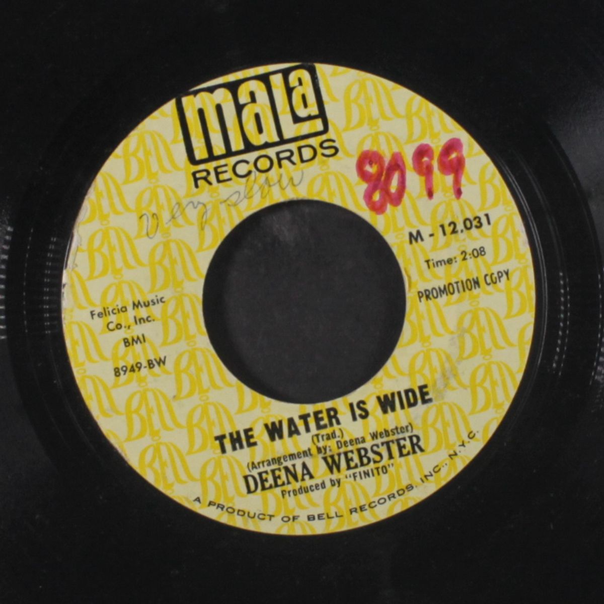 scarborough fair / the water is wide by DEENA WEBSTER