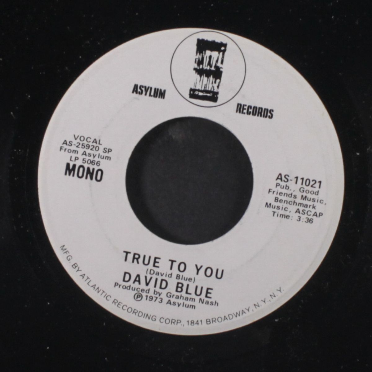 true to you / mono by DAVID BLUE
