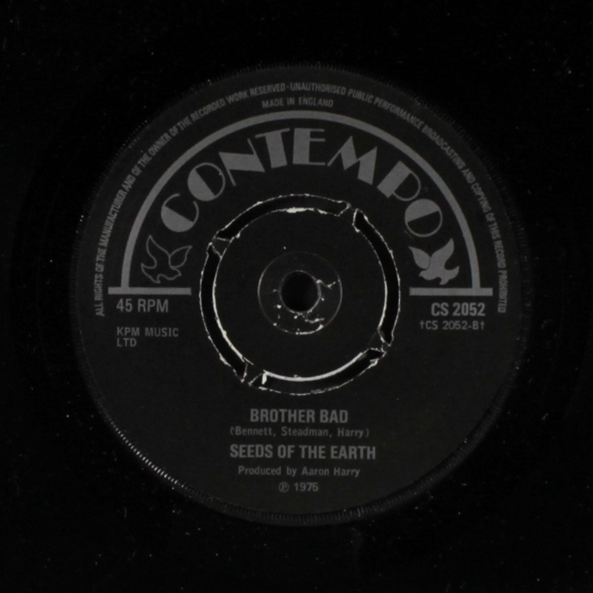 planting seeds / brother bad by SEEDS OF THE EARTH