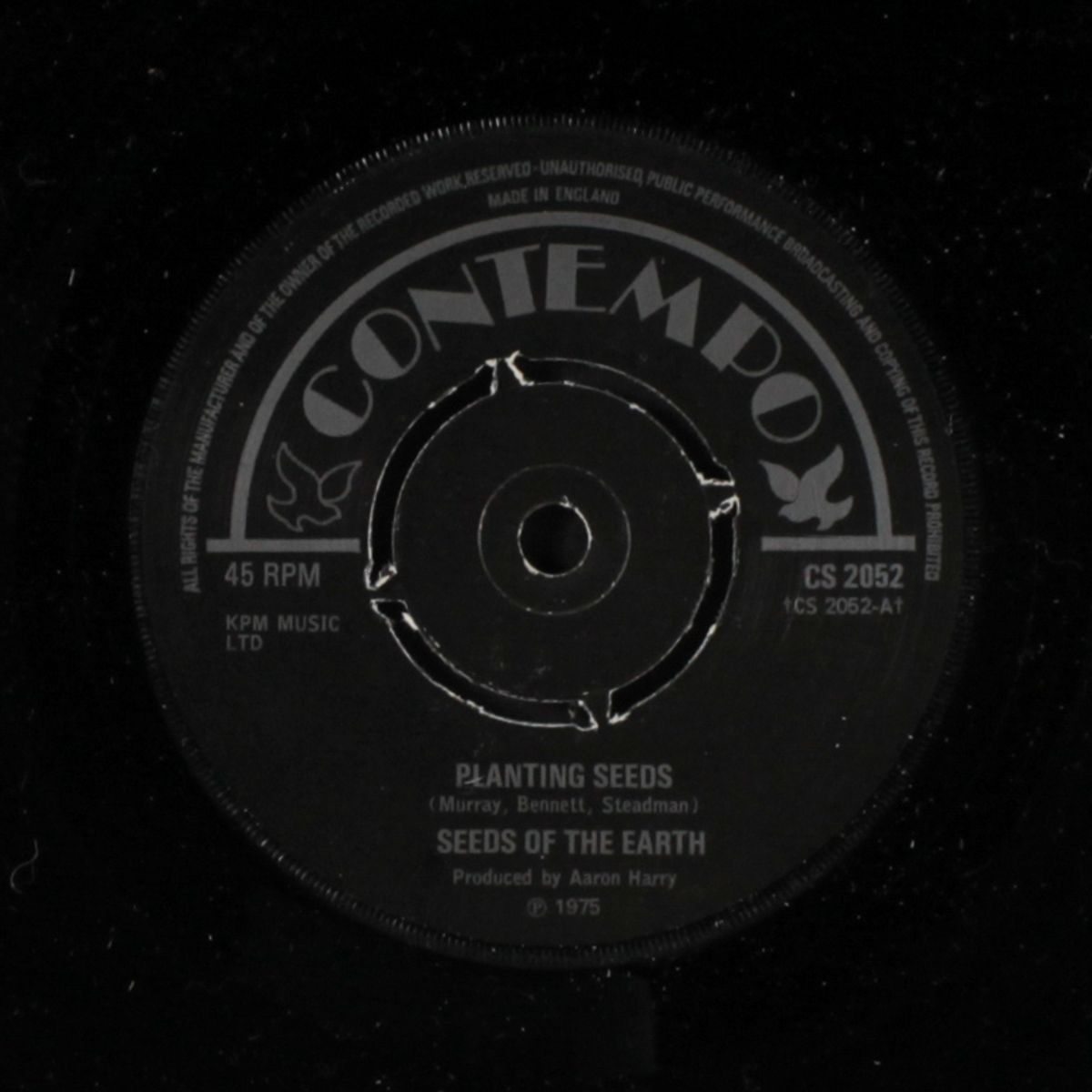 planting seeds / brother bad by SEEDS OF THE EARTH