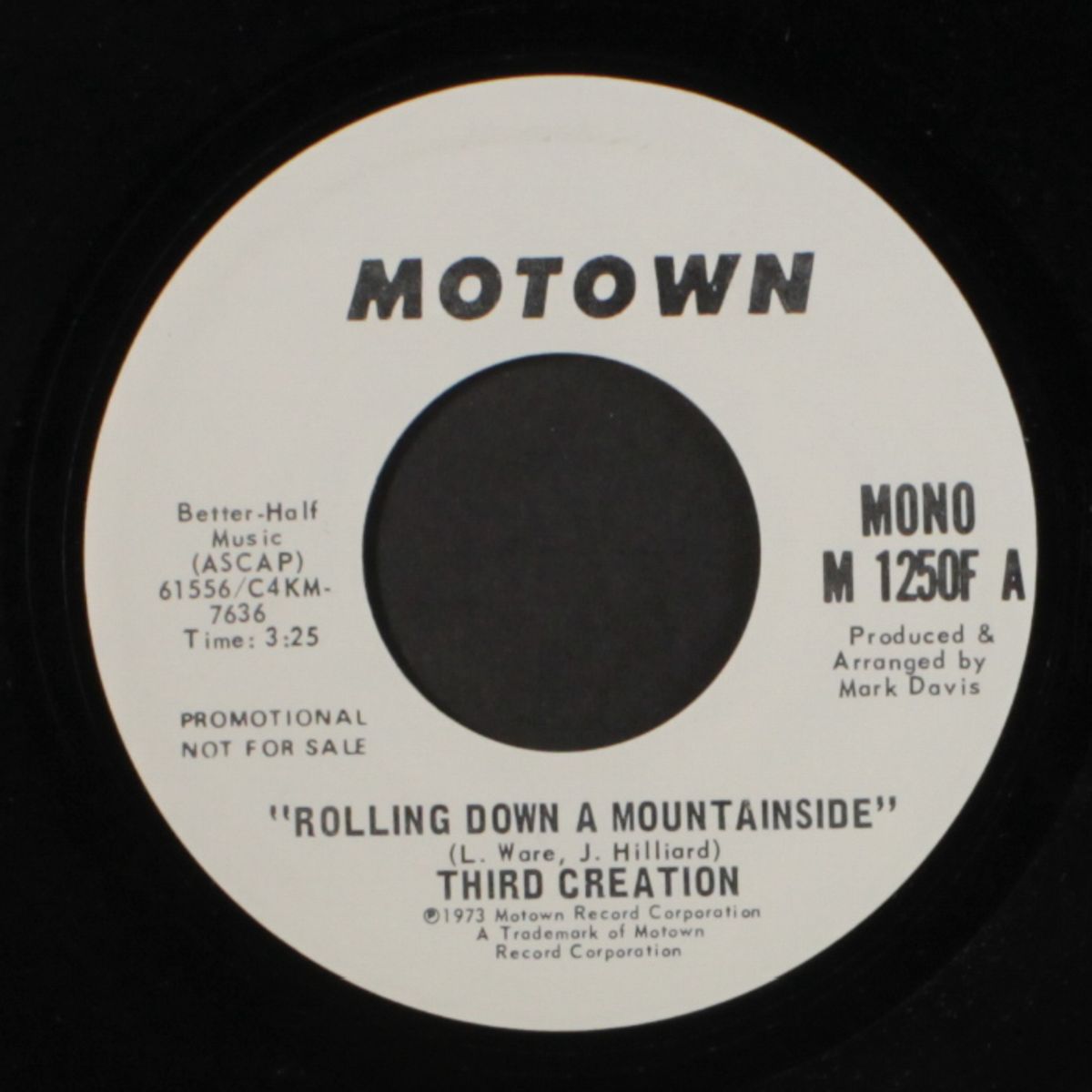 rolling down a mountainside / mono by THIRD CREATION