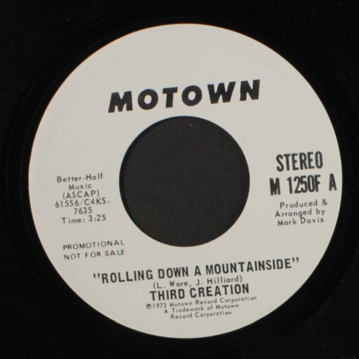 rolling down a mountainside / mono by THIRD CREATION