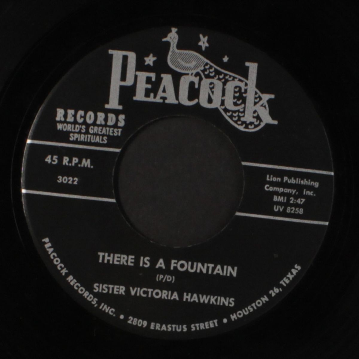 there is a fountain by SISTER VICTORIA HAWKINS