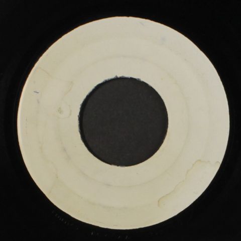 BINGY BUNNY / TOMMY MCCOOK