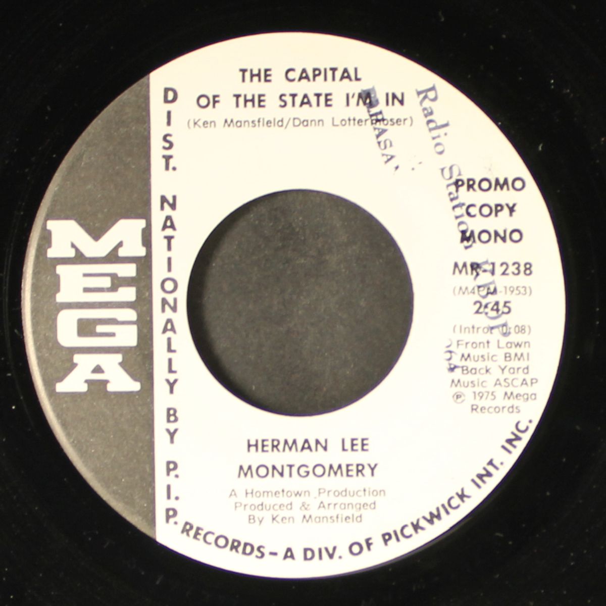 the capital of the state i'm in / mono by HERMAN LEE MONTGOMERY