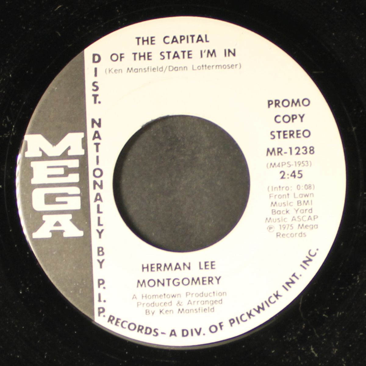 the capital of the state i'm in / mono by HERMAN LEE MONTGOMERY