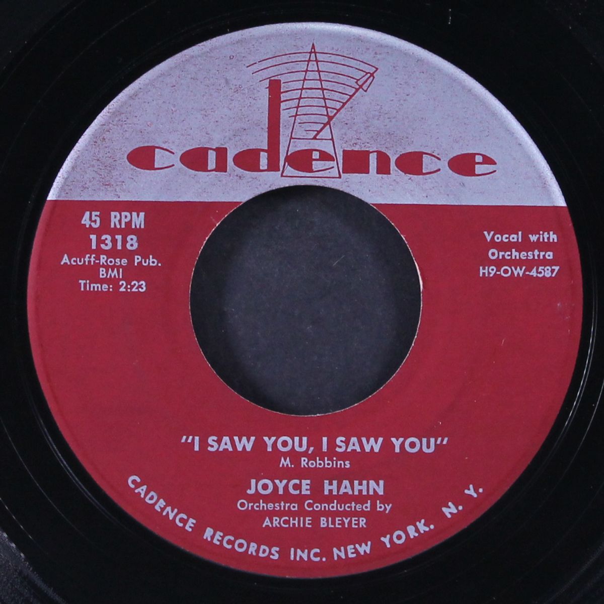 gonna find me a bluebird / i saw you, i saw you by JOYCE HAHN