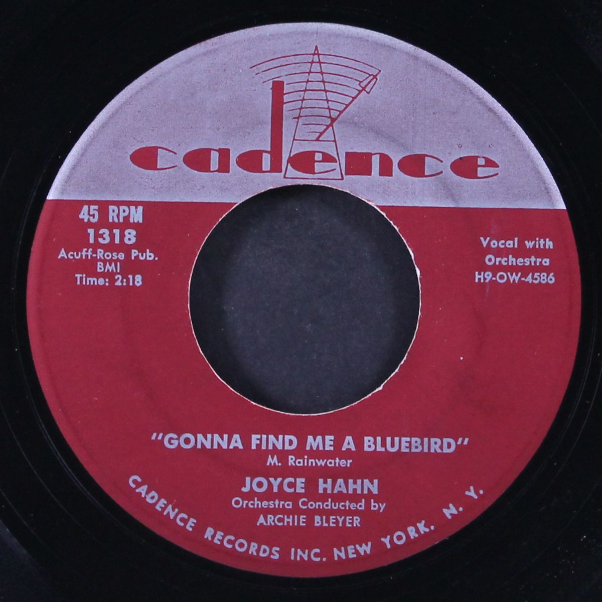 gonna find me a bluebird / i saw you, i saw you by JOYCE HAHN