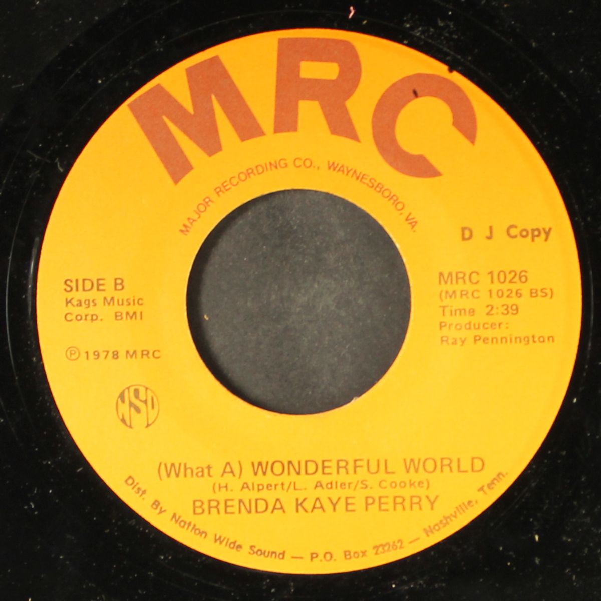 make me your woman / wonderful world by BRENDA KAYE PERRY