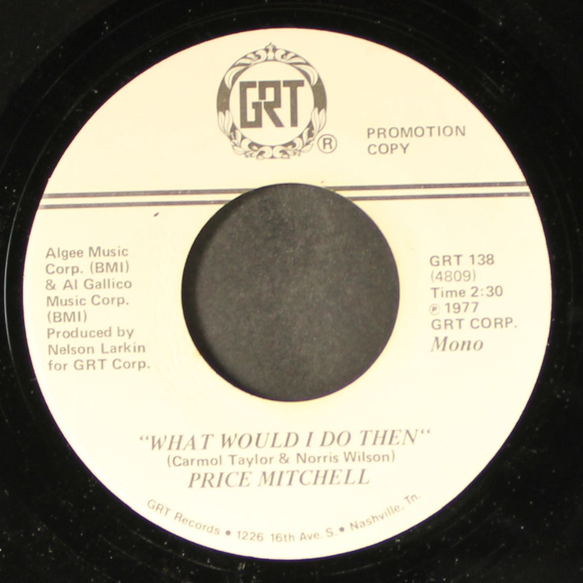 what would i do then / mono by PRICE MITCHELL