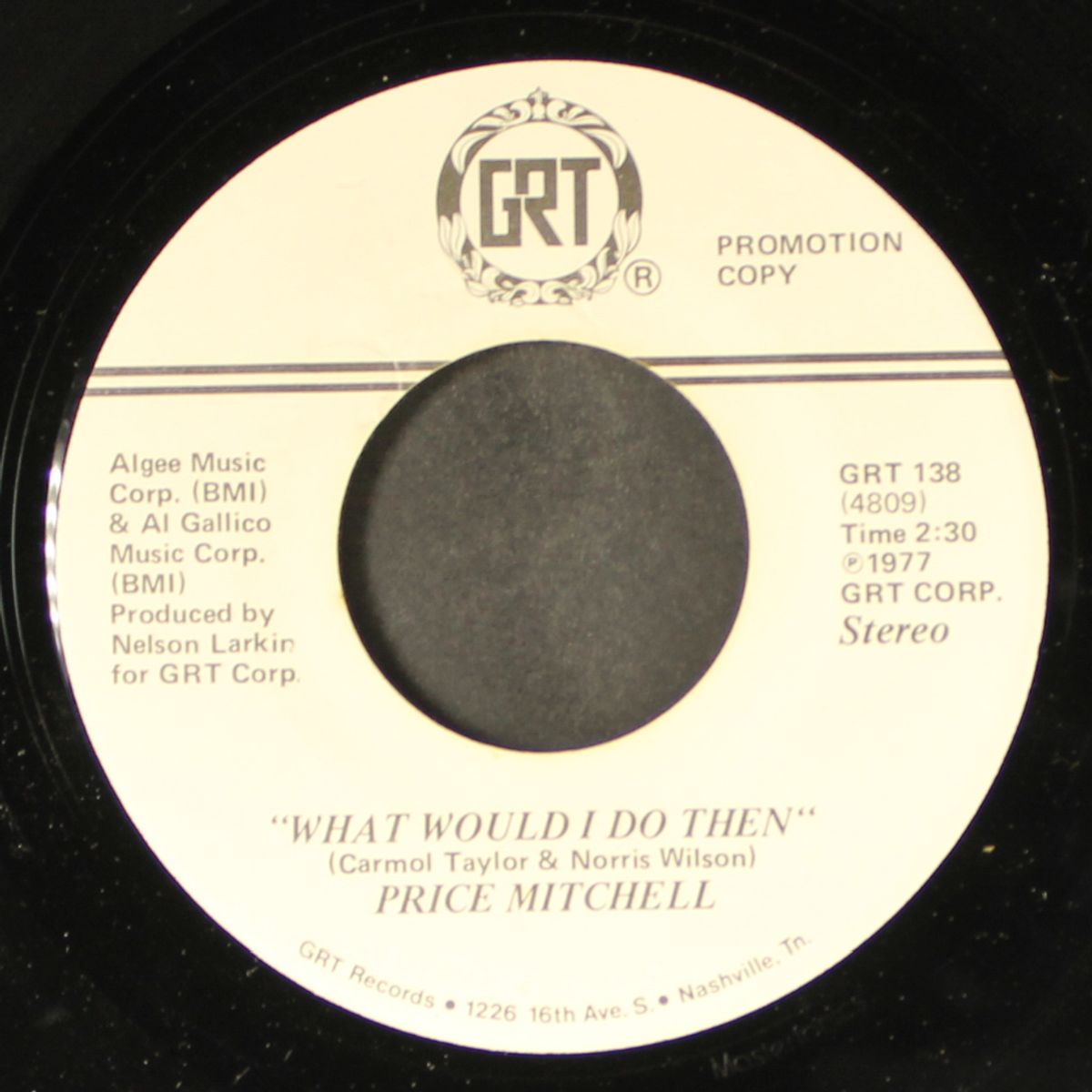 what would i do then / mono by PRICE MITCHELL