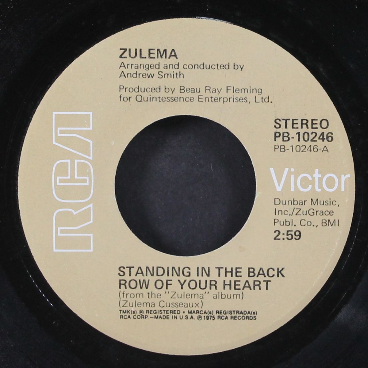 standing in the back row of your heart / hail hail america by ZULEMA