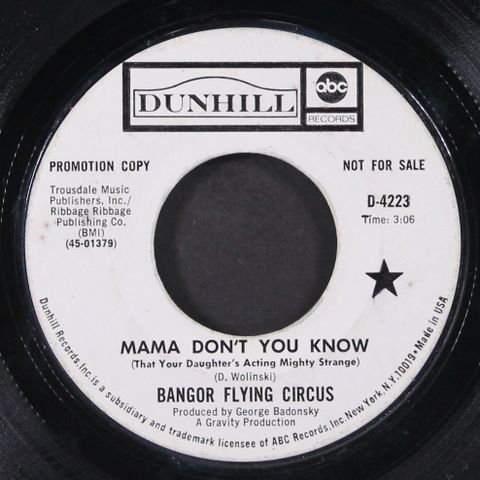 BANGOR FLYING CIRCUS