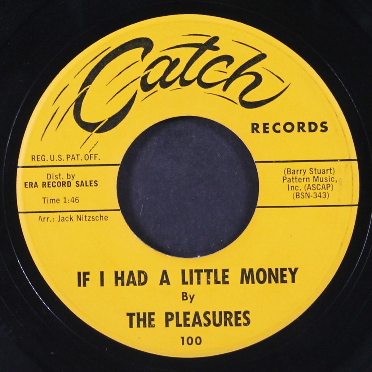 music city / if i had a little money by PLEASURES