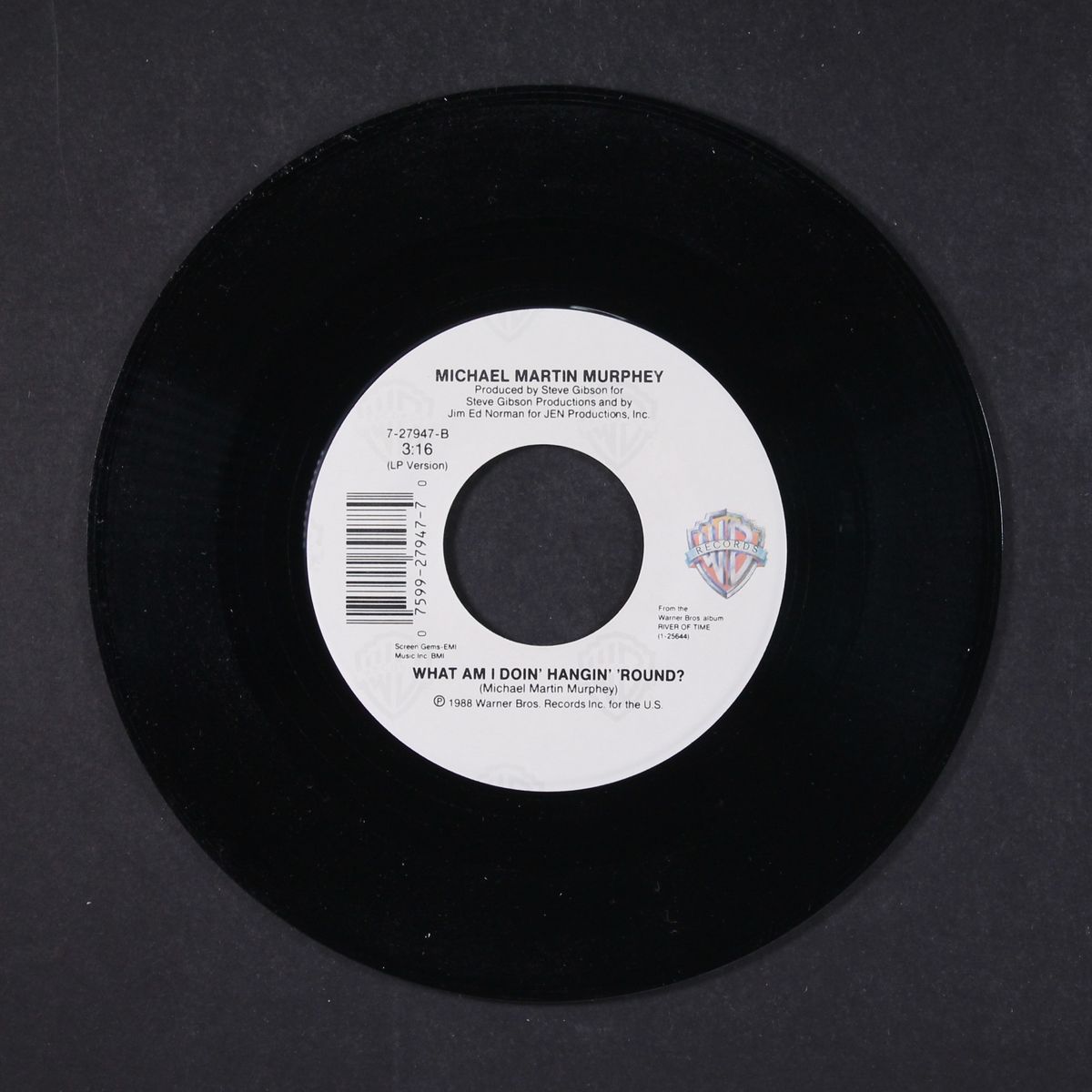 talkin' to the wrong man / what am i doin by MICHAEL MARTIN MURPHY