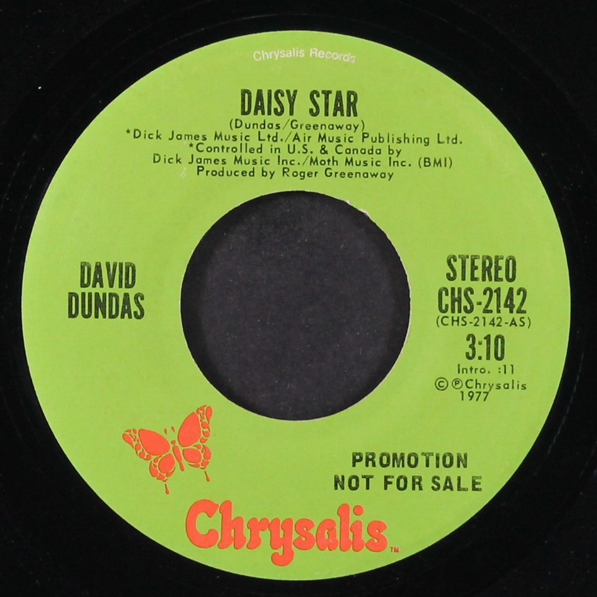 daisy star / mono by DAVID DUNDAS