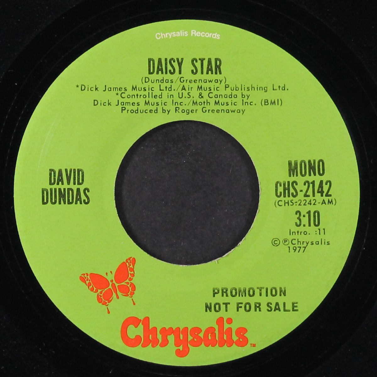 daisy star / mono by DAVID DUNDAS