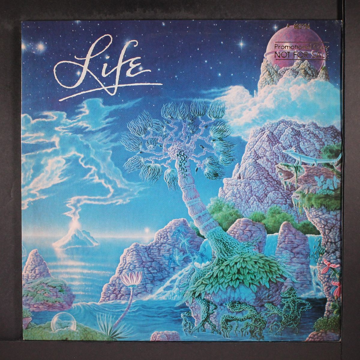 life by LIFE