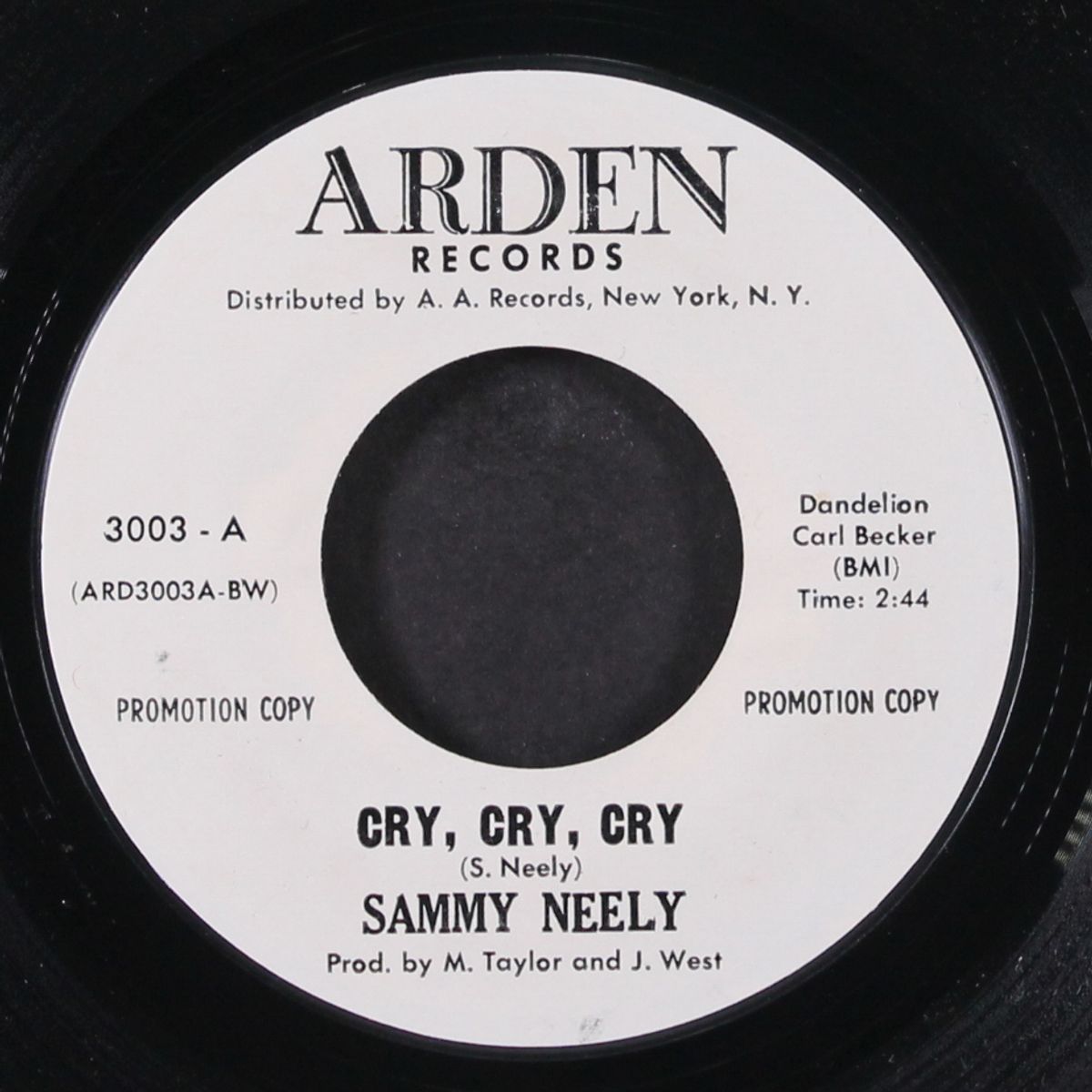 cry, cry, cry by SAMMY NEELY
