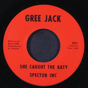 SPECTOR INC