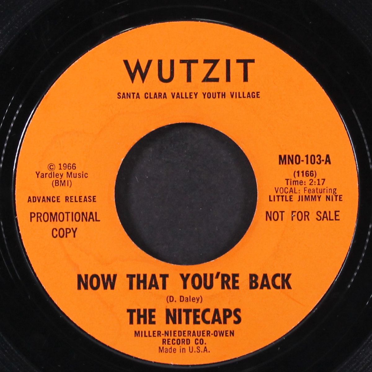 something you got / now that you're back by NITECAPS