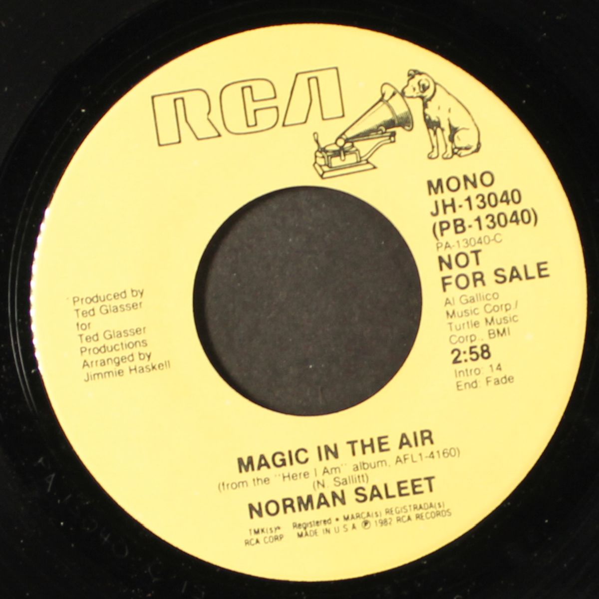 magic in the air / mono by NORMAN SALEET