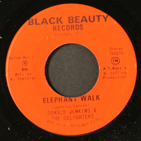 DONALD JENKINS & DELIGHTERS / SONICS