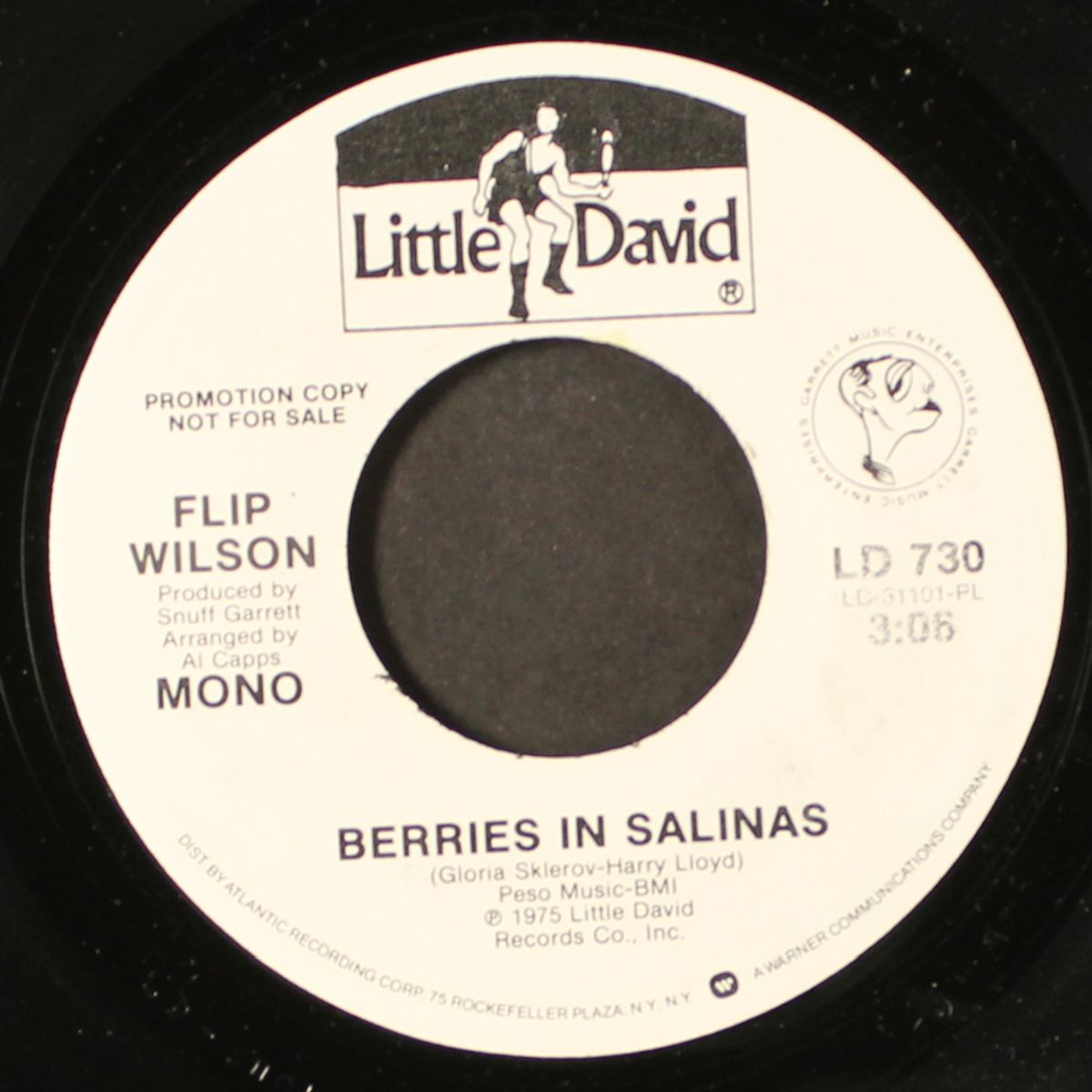 berries in salinas by FLIP WILSON