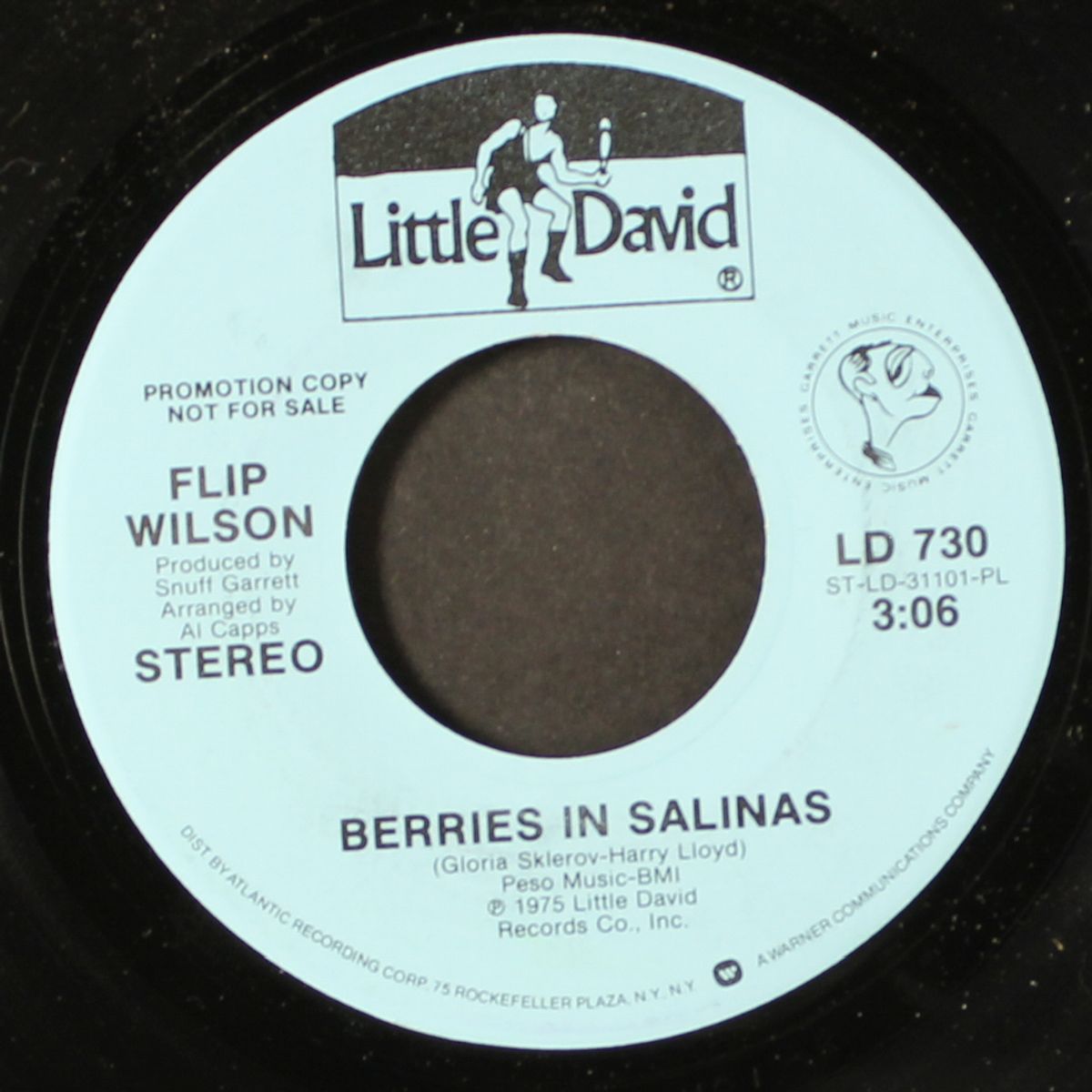 berries in salinas by FLIP WILSON