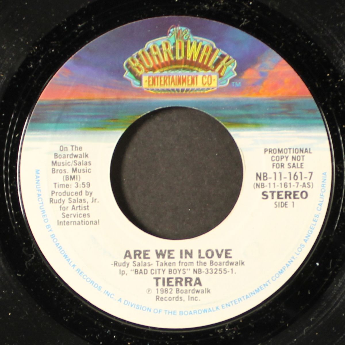 are we in love / mono by TIERRA
